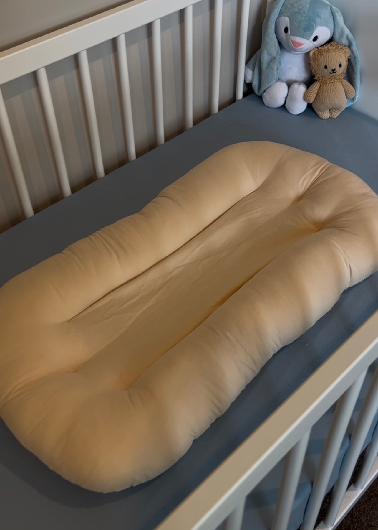 Baby Lounger
